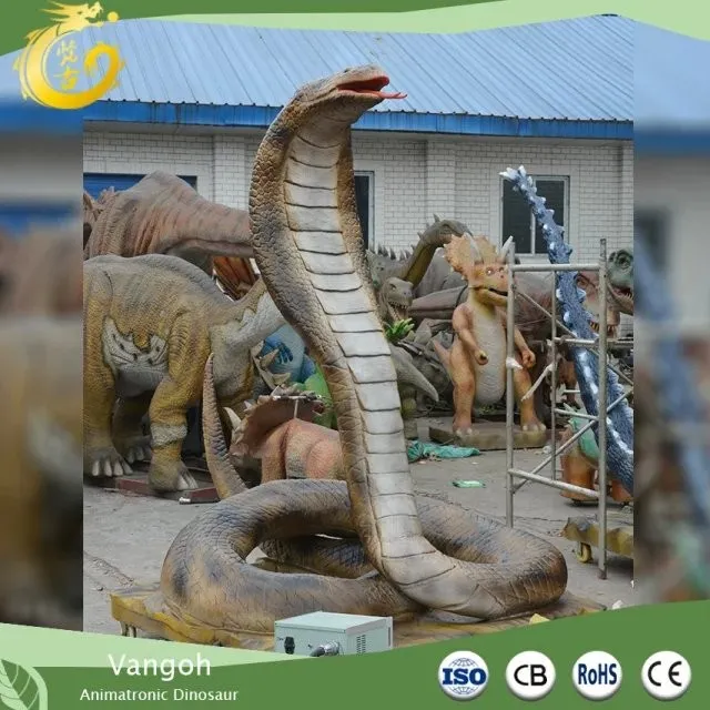 IMG_0594
